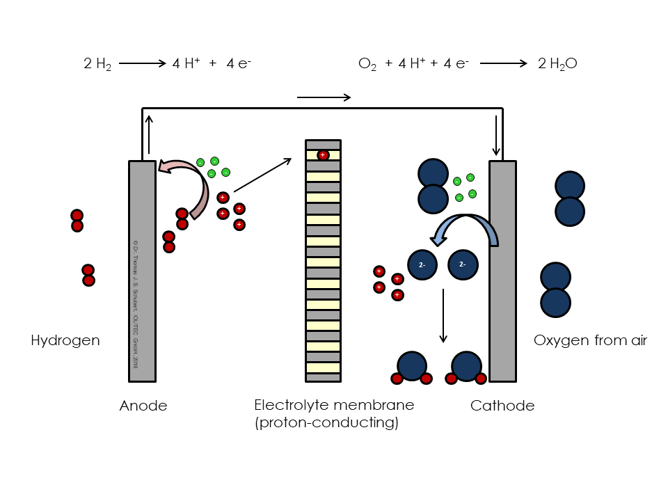 fuel cell eng